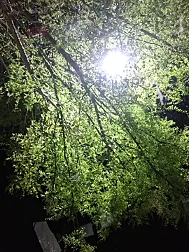 Hotbodyscottie online show from March 22, 9:11 am