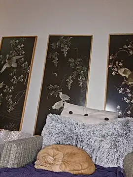 Hotbodyscottie online show from February 1, 12:03 pm