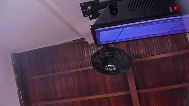 emily-fox online show from February 13, 11:10 am