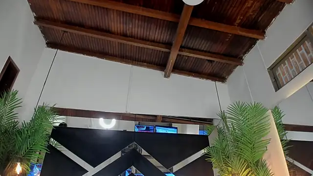 emily-fox online show from April 14, 11:04 am