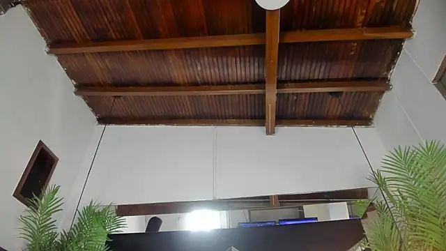 emily-fox online show from March 31, 11:01 am