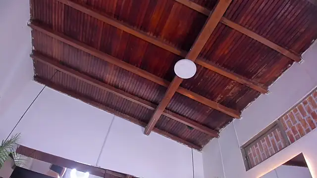 emily-fox online show from March 19, 11:10 am