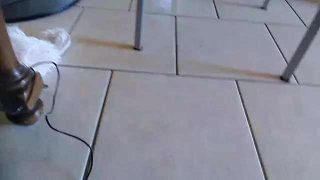 Snapshot of 69porcellone69 chatting on October 2, 7:01 am 69porcellone69 online show from October 2, 7:01 am