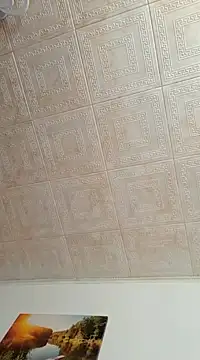 hornny1995 online show from January 11, 10:51 am