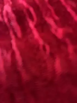 LikaCat online show from March 26, 2:10 am