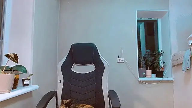 RosaJil online show from November 9, 5:50 pm