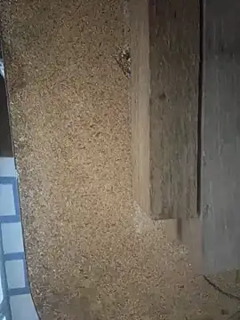 Followthepiper online show from March 29, 7:43 am