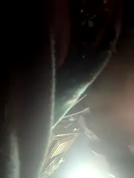 Snapshot of Followthepiper chatting on November 2, 9:25 am Followthepiper online show from November 2, 9:25 am