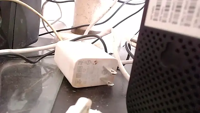 bardotbigcockts online show from September 25, 8:04 pm