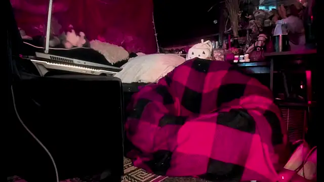 Snapshot of astarrot chatting on November 6, 7:51 pm astarrot online show from November 6, 7:51 pm