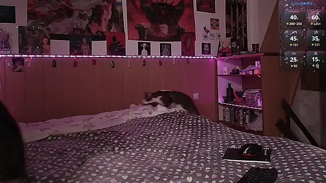 Hanako Jentoru online show from February 7, 2:47 pm