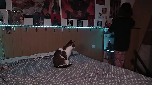 Hanako Jentoru online show from February 9, 6:17 pm