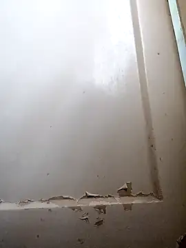 Rishimumbai hot online show from December 9, 6:12 am