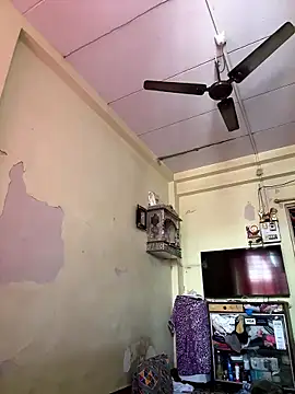 Rishimumbai hot online show from January 11, 5:14 am