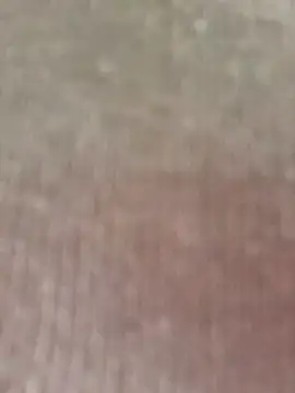 seherlatin online show from February 7, 2:47 pm