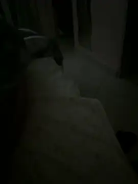 EleonoraMora86 online show from January 12, 2:07 am