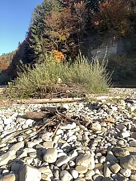 artXhibitor online show from October 18, 2:30 pm