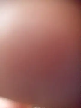 poloplayer123 online show from February 13, 1:44 pm