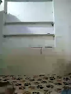 Cameron puppy online show from April 19, 11:22 am