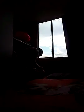 Cameron puppy online show from November 15, 8:35 pm