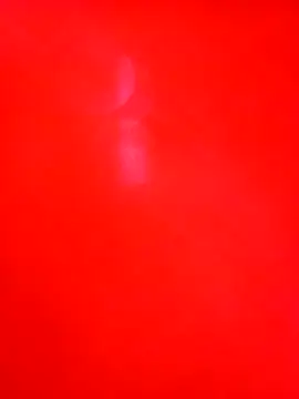 Cameron puppy online show from December 1, 7:26 pm