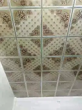 Dil-Ka-Radhika online show from November 6, 2:21 pm