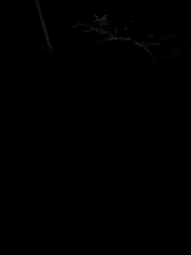 donkeyCOCC online show from October 4, 4:14 am