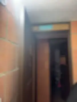 Sachi Meow online show from February 14, 11:54 am