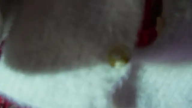 Snapshot of BOOLOCHKAA chatting on December 30, 2:51 pm BOOLOCHKAA online show from December 30, 2:51 pm