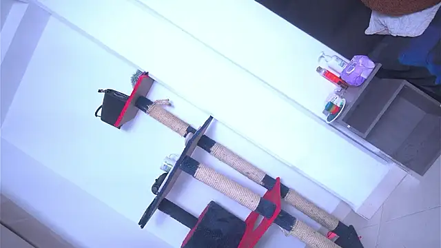 argiee taylorxs2 online show from March 4, 11:34 pm