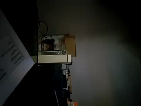 StiveMartin online show from November 17, 2:26 am