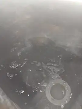 Snapshot of bella8769 chatting on February 21, 6:26 am bella8769 online show from February 21, 6:26 am