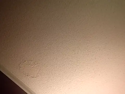 Snapshot of Treemandude chatting on November 10, 11:43 pm Treemandude online show from November 10, 11:43 pm