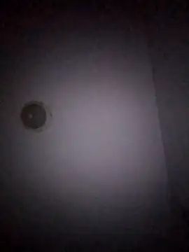 Treemandude online show from January 15, 11:02 am