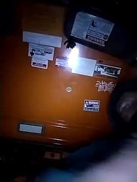 Snapshot of Treemandude chatting on December 15, 5:13 am Treemandude online show from December 15, 5:13 am