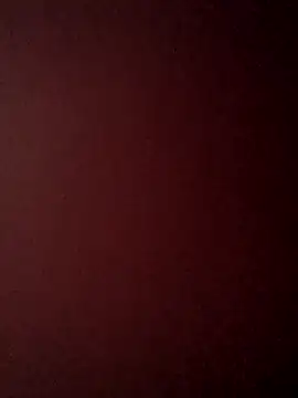 Snapshot of Treemandude chatting on October 25, 6:34 am Treemandude online show from October 25, 6:34 am