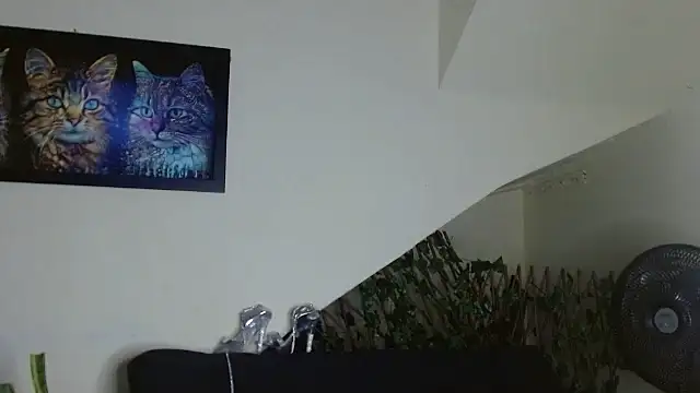 lady scarlettt online show from February 26, 3:03 am