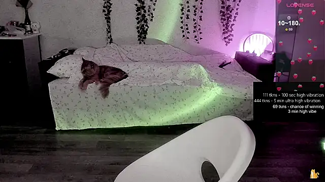 strawberry elfcat online show from February 20, 1:24 am