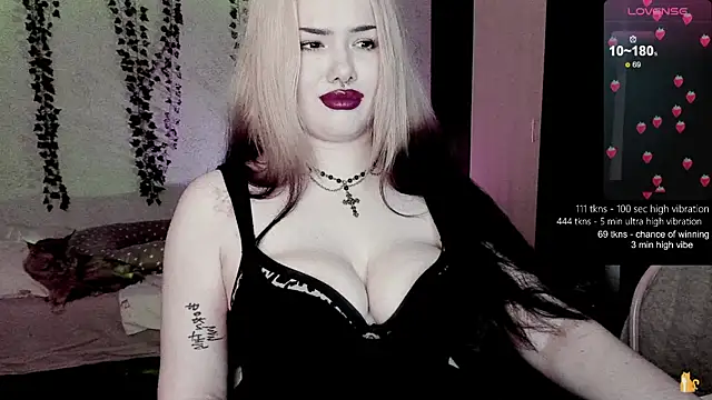 strawberry elfcat online show from February 8, 5:16 am