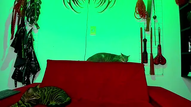 irregular fetish  online show from February 26, 7:47 pm