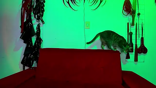 irregular fetish  online show from February 19, 7:00 pm