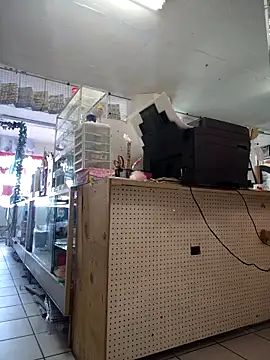 Mia Novikov online show from February 24, 10:21 pm