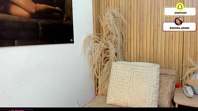 sofhiaa adaams online show from February 20, 10:44 pm