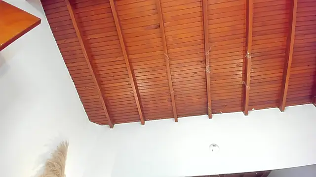 Snapshot of sofhiaa_adaams chatting on November 15, 8:57 pm sofhiaa adaams online show from November 15, 8:57 pm