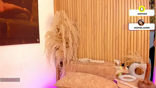 sofhiaa adaams online show from February 25, 10:31 pm