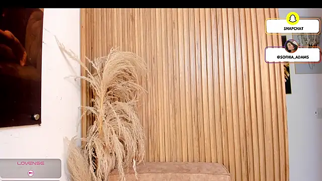 sofhiaa adaams online show from February 22, 5:14 pm