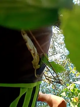 JrCXXIV online show from January 8, 11:11 pm