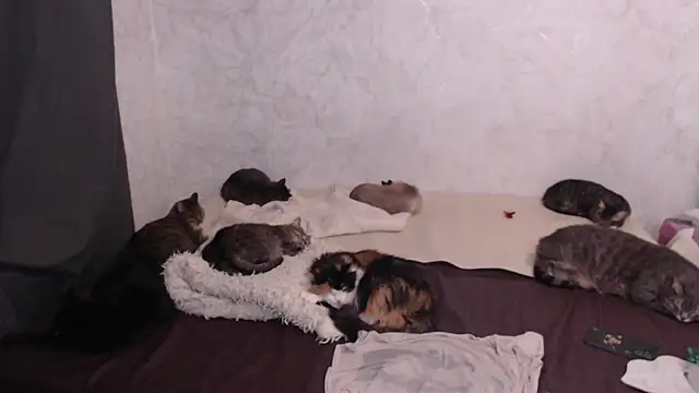 Olivia Winston online show from January 13, 4:22 pm