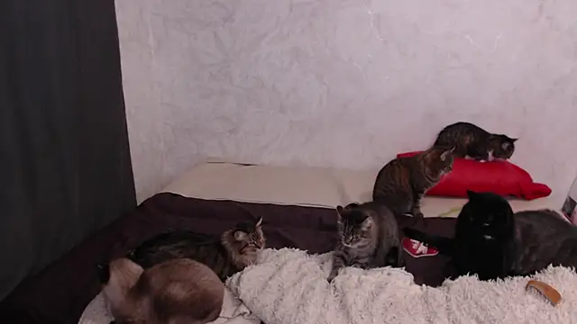 Olivia Winston online show from February 9, 3:48 am