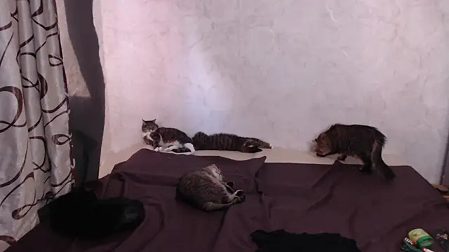 Olivia Winston online show from March 28, 1:45 pm